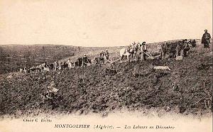 Montgolfier 607